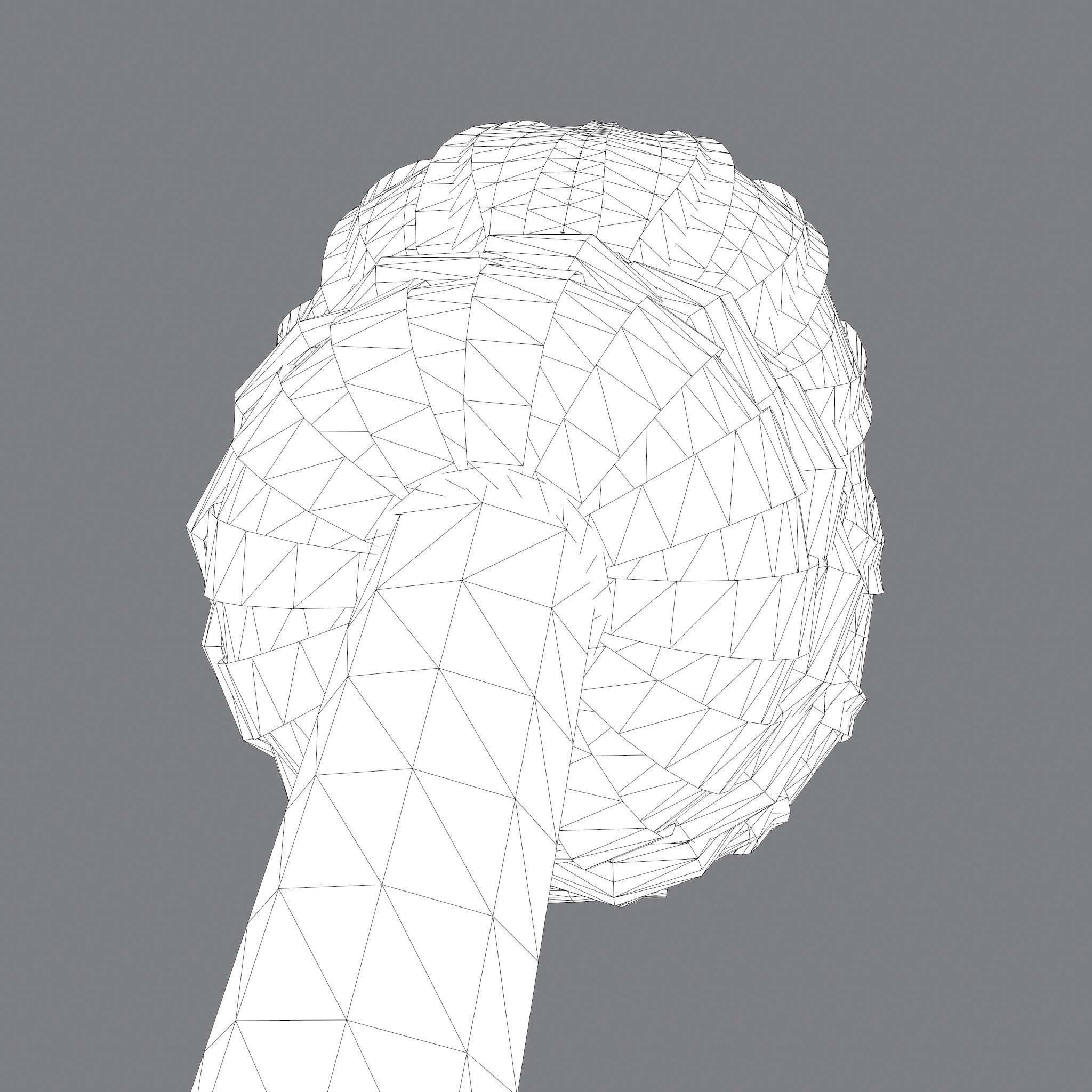 Medieval Style Long Braided Hair Low-poly 3D model_36