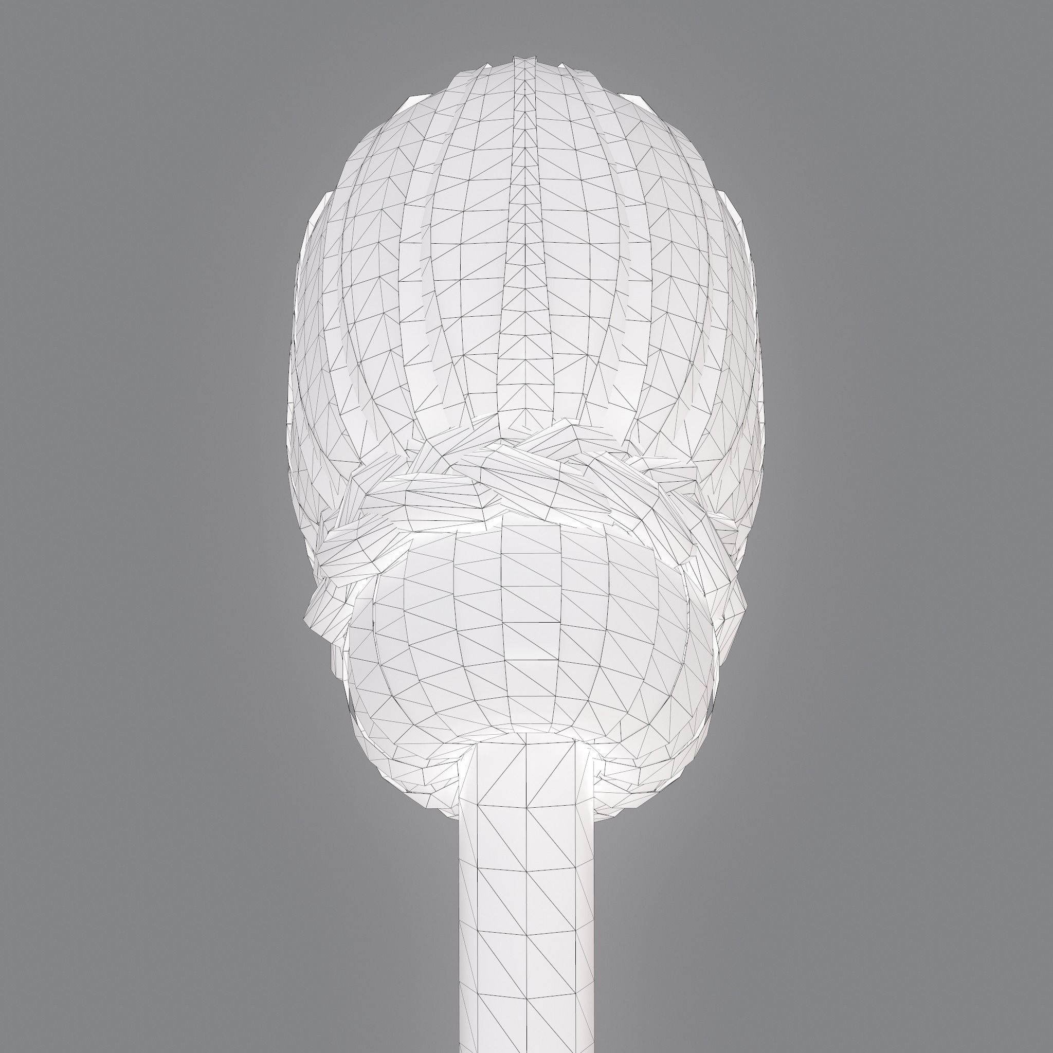 Medieval Style Long Braided Hair Low-poly 3D model_38