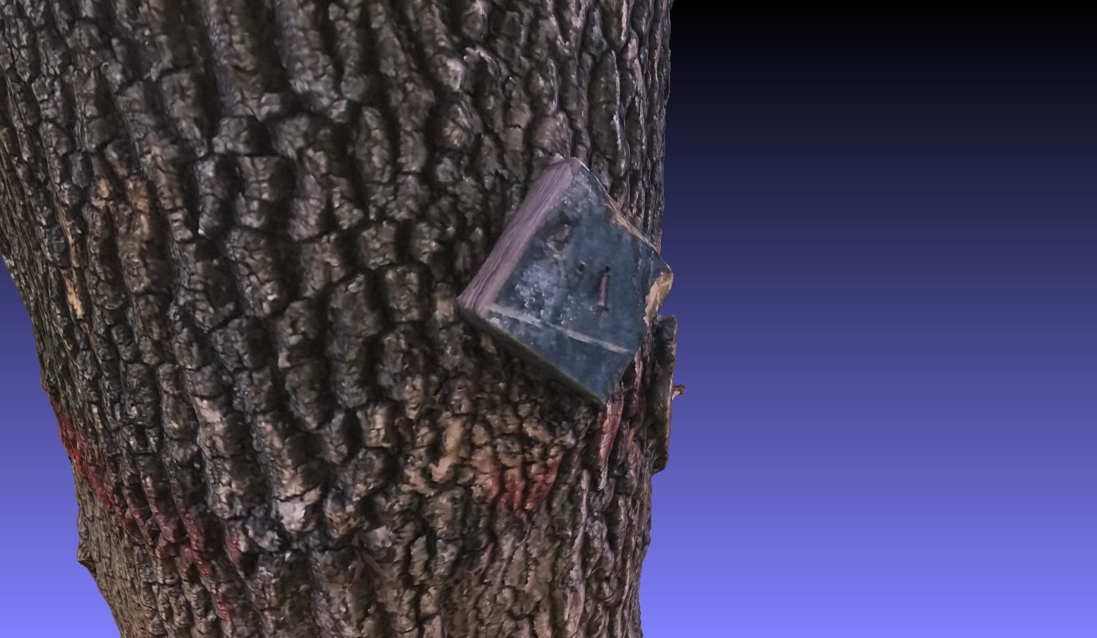 PART OF TREE Free 3D model_15