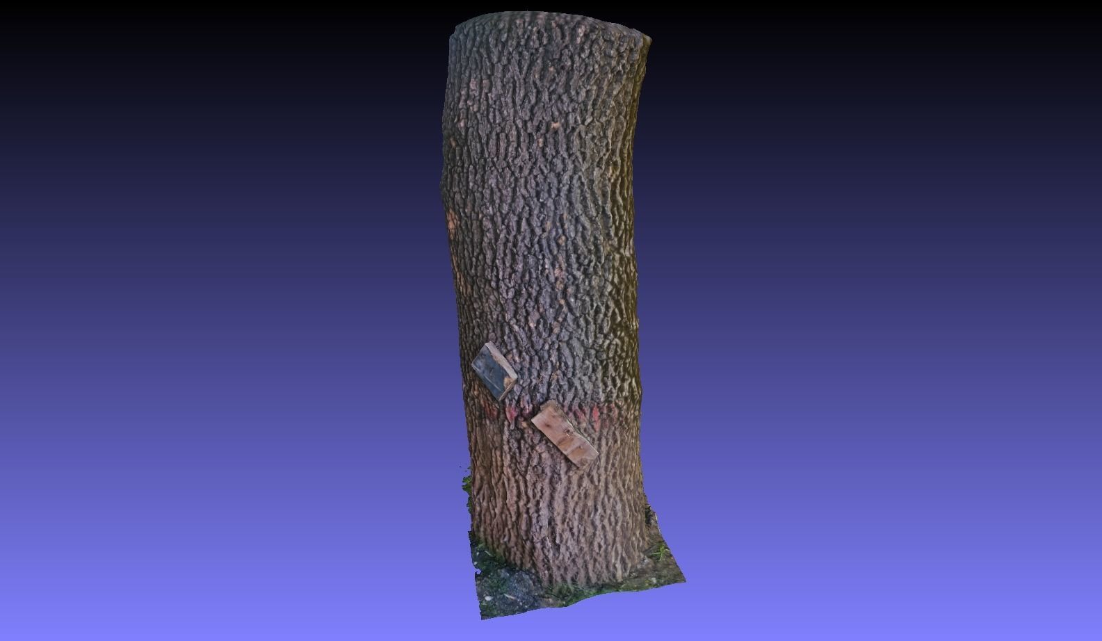 PART OF TREE Free 3D model_3