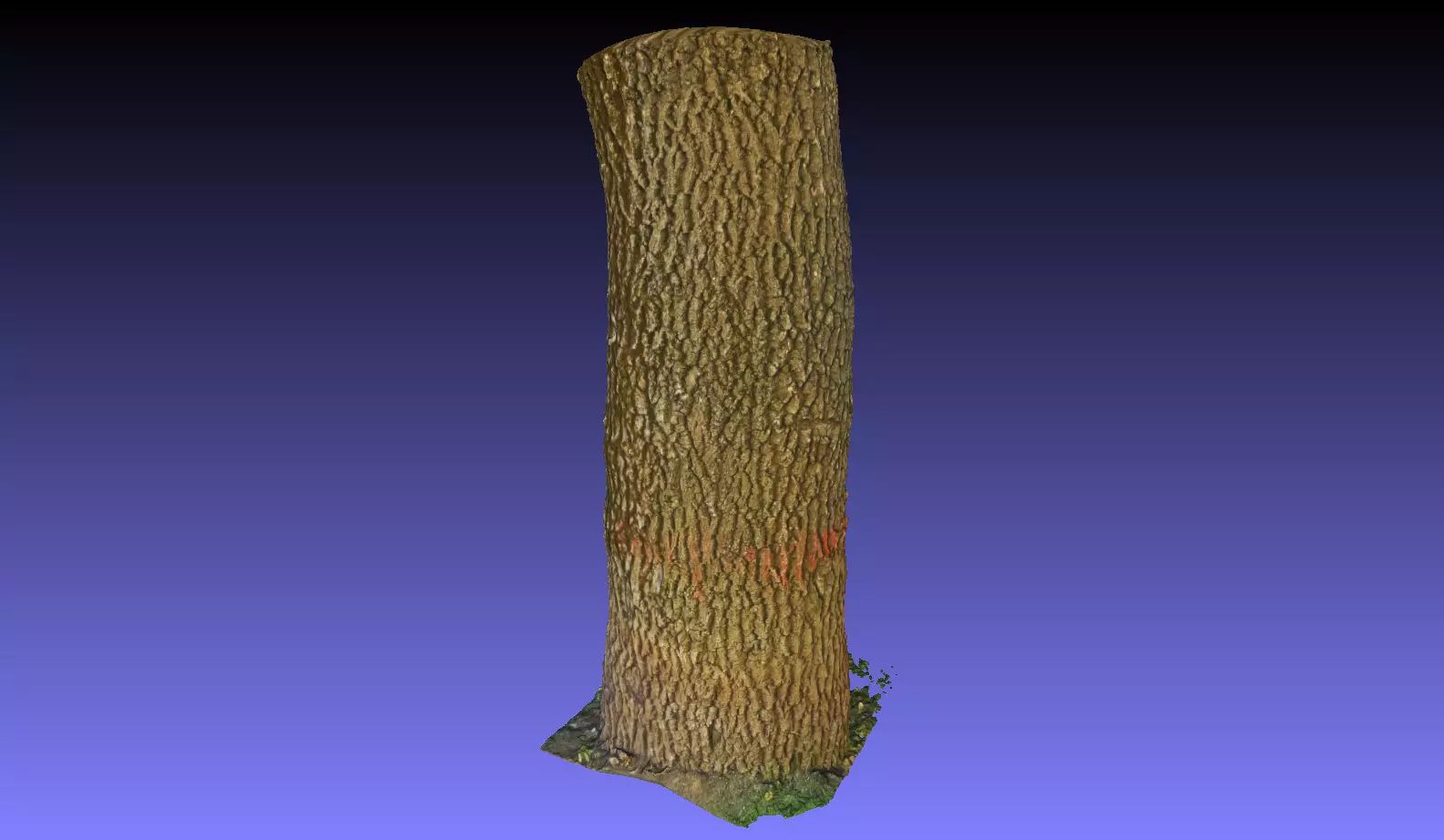 PART OF TREE Free 3D model_0