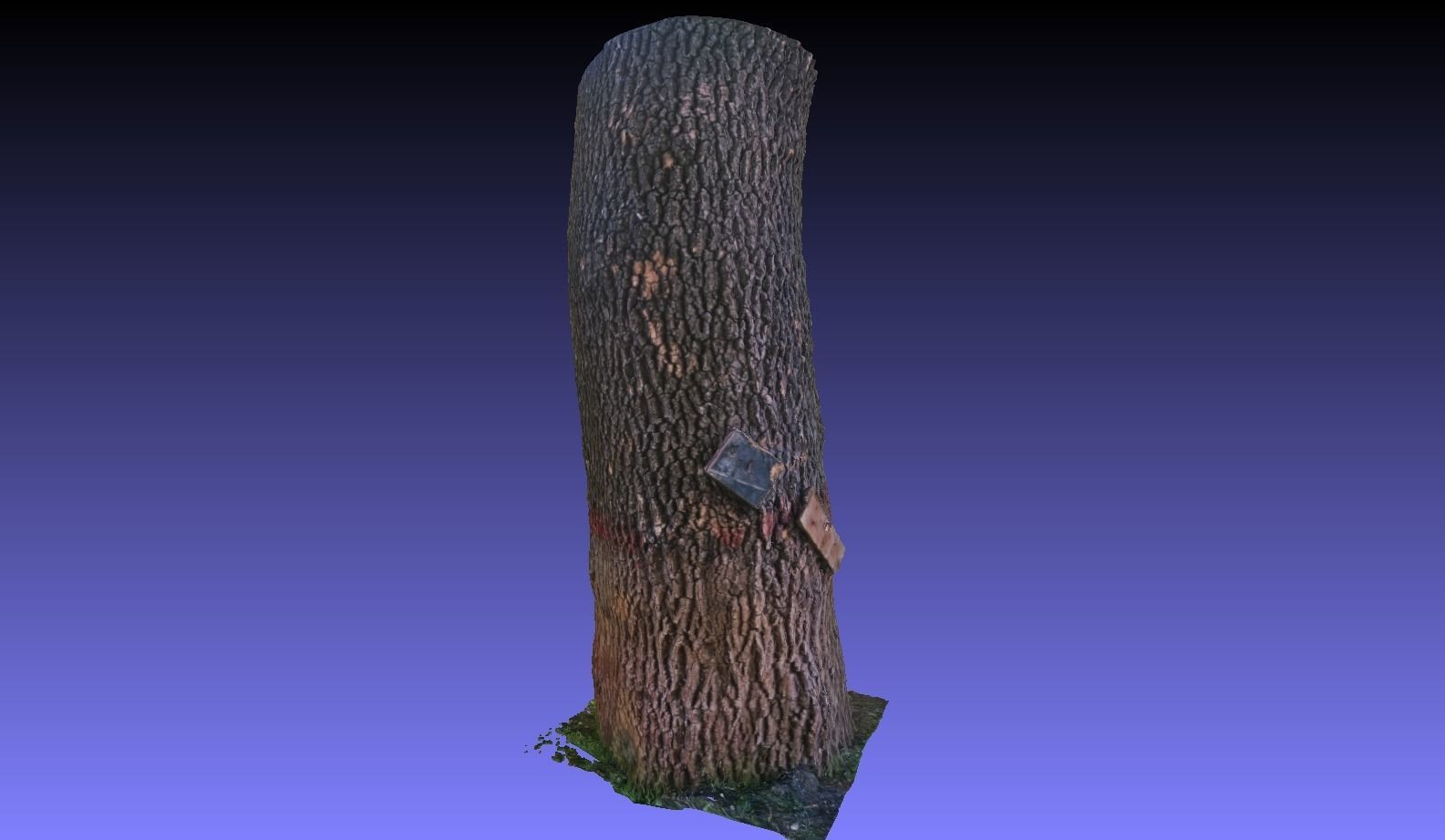 PART OF TREE Free 3D model_12