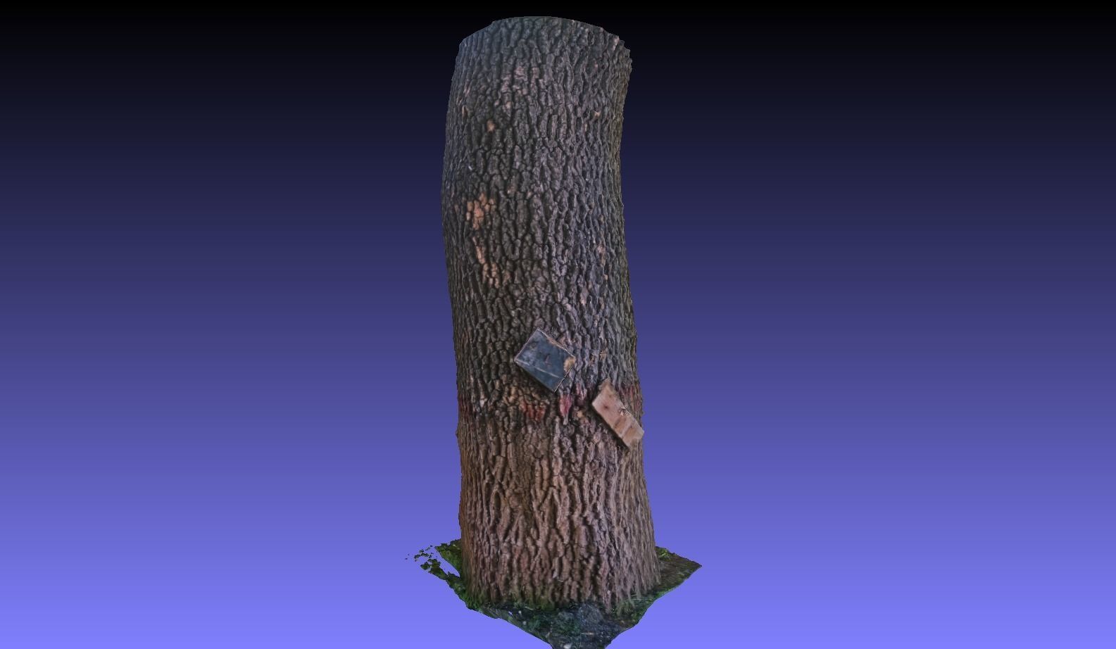 PART OF TREE Free 3D model_13