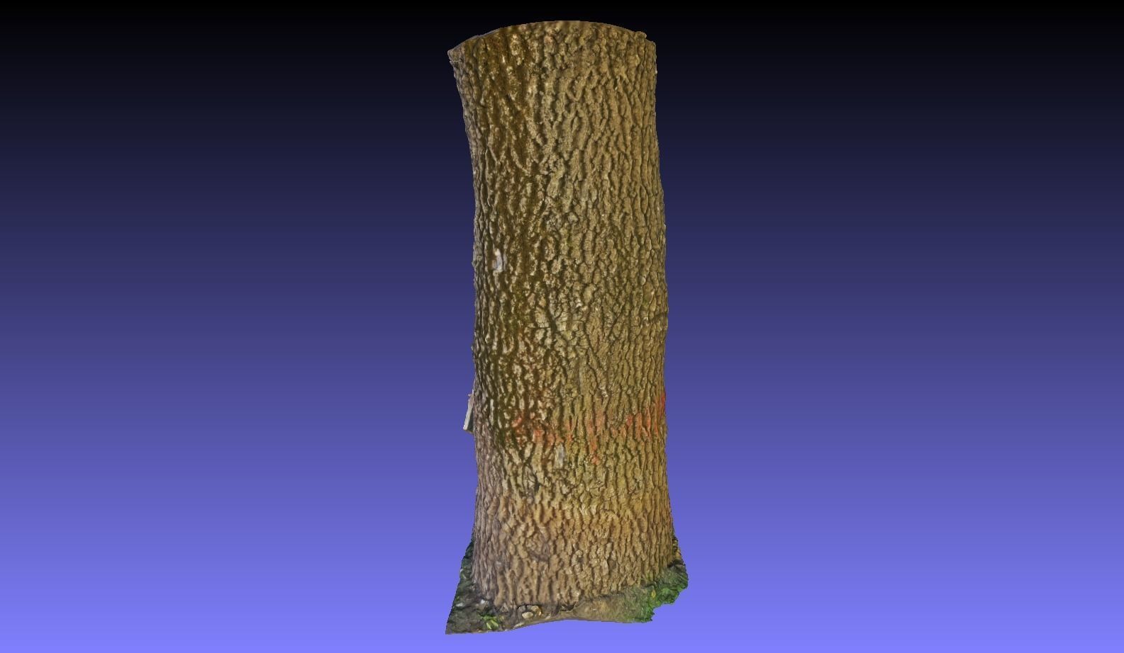PART OF TREE Free 3D model_7