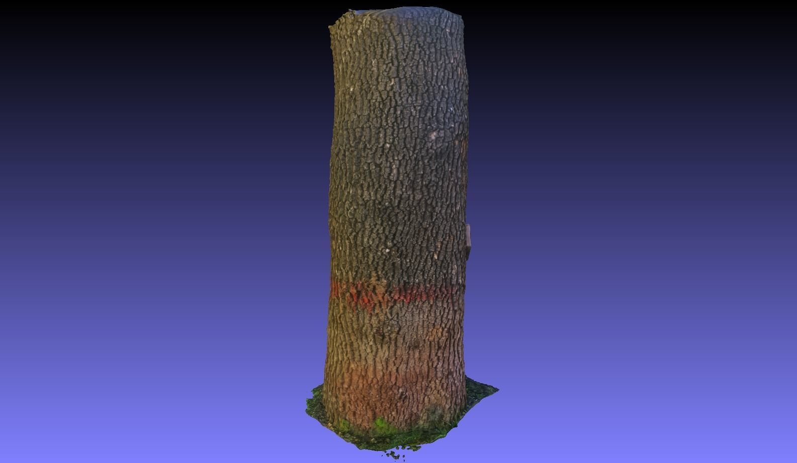 PART OF TREE Free 3D model_10