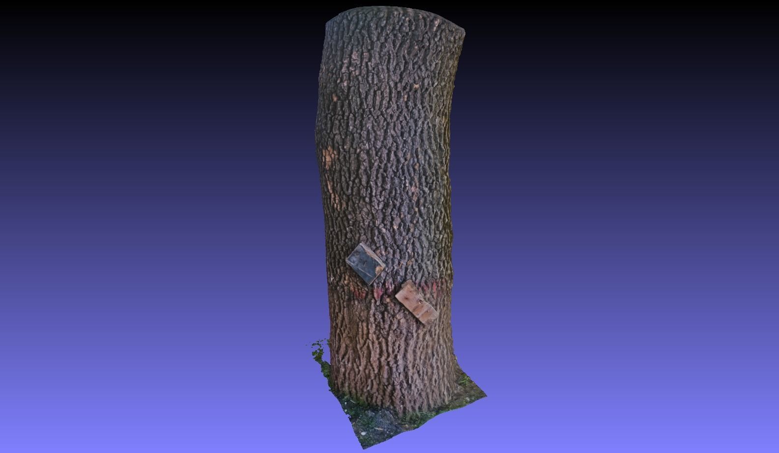 PART OF TREE Free 3D model_2