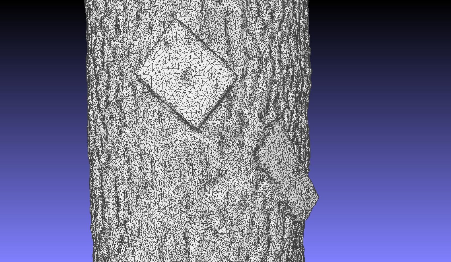 PART OF TREE Free 3D model_17