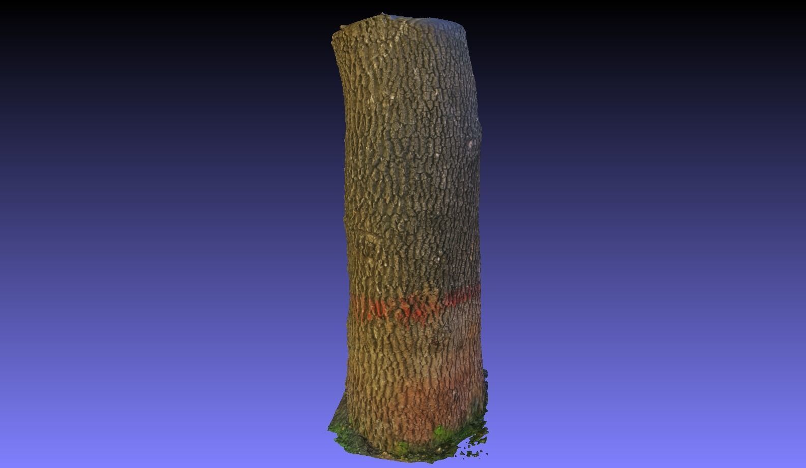 PART OF TREE Free 3D model_9