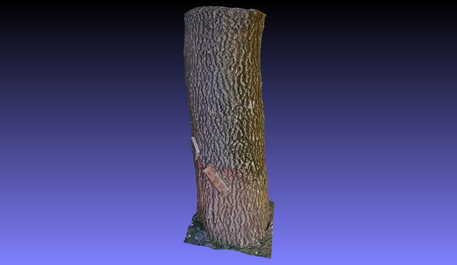 PART OF TREE Free 3D model_4