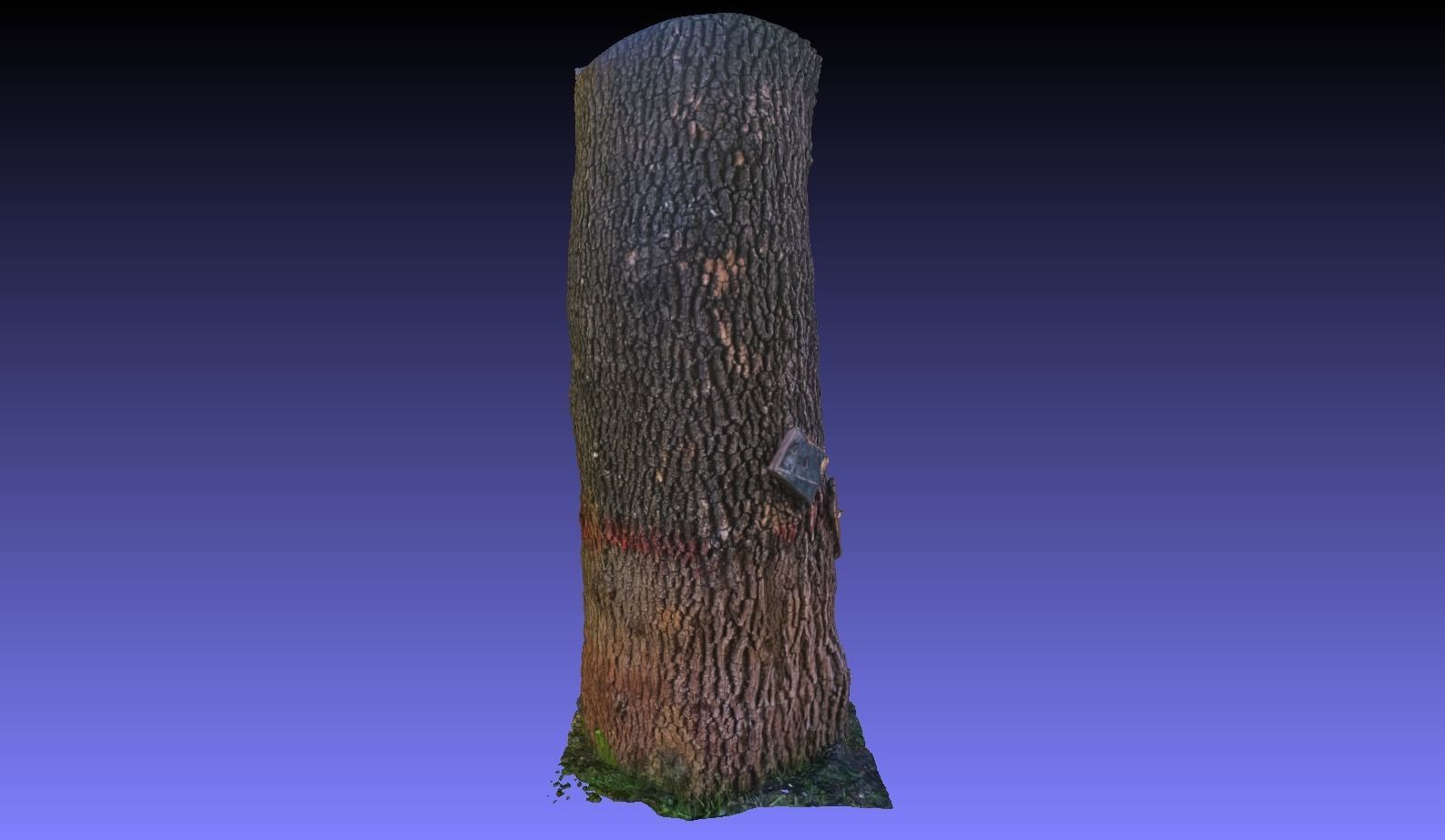 PART OF TREE Free 3D model_11
