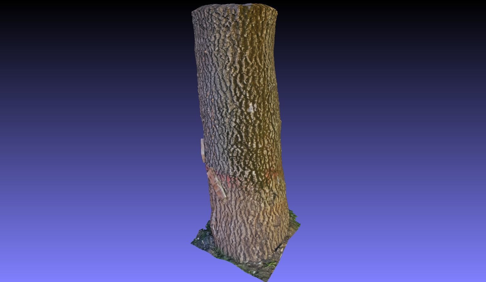 PART OF TREE Free 3D model_5