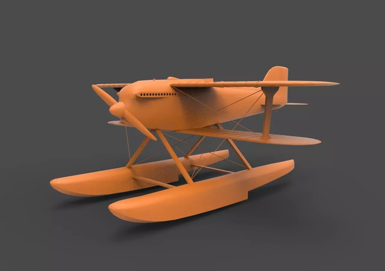 Sea Plane 3D print model_0
