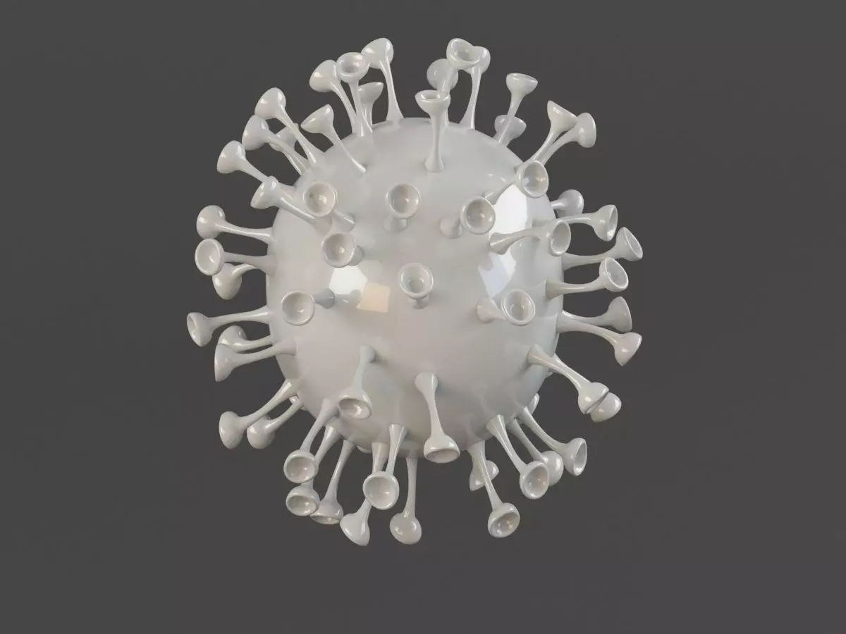 Corona Virus 3D Model nCOV COVID 19  3D model_0