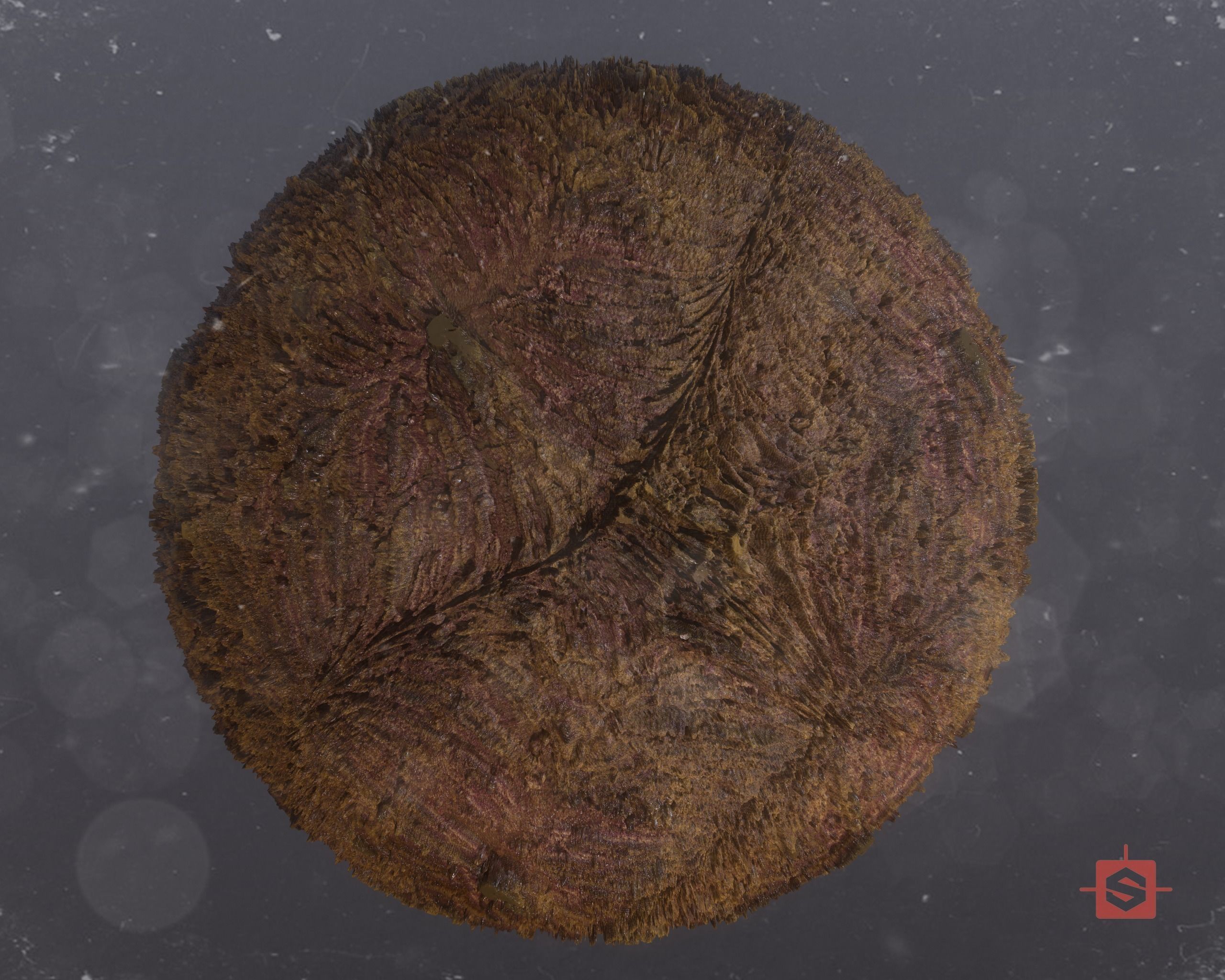 FREE PACK Materials - Future upgrades with more materials Texture_5