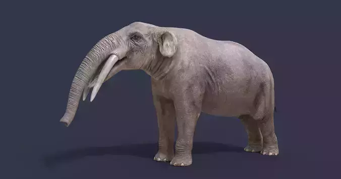 Gomphotherium atavus 
