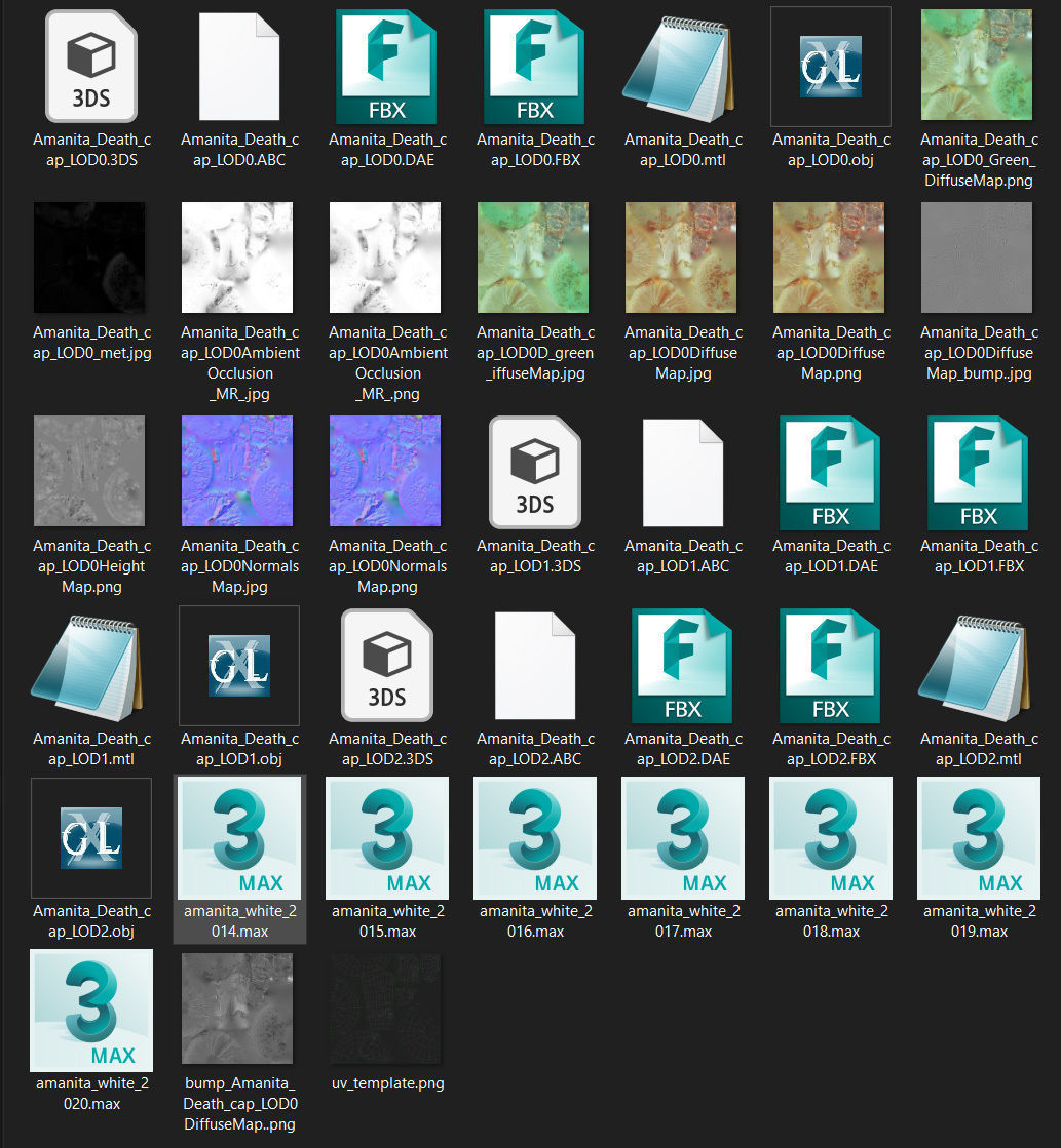 Amanita verna - fools mushroom Low-poly 3D model_66