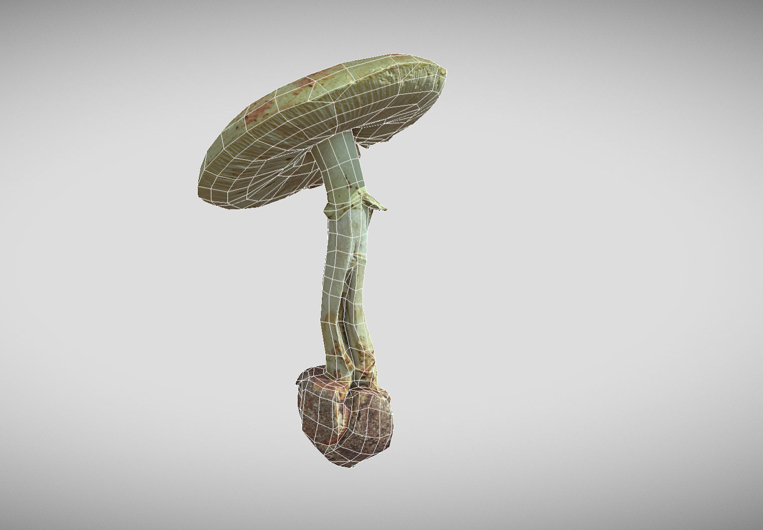 Amanita verna - fools mushroom Low-poly 3D model_60