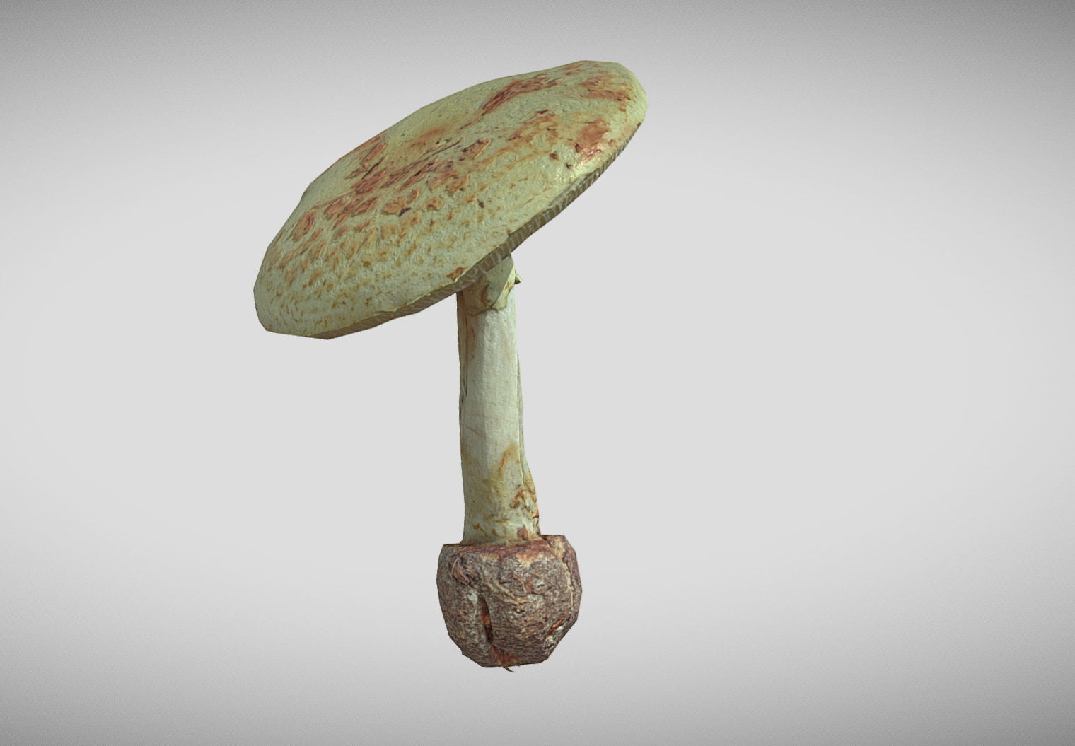 Amanita verna - fools mushroom Low-poly 3D model_16
