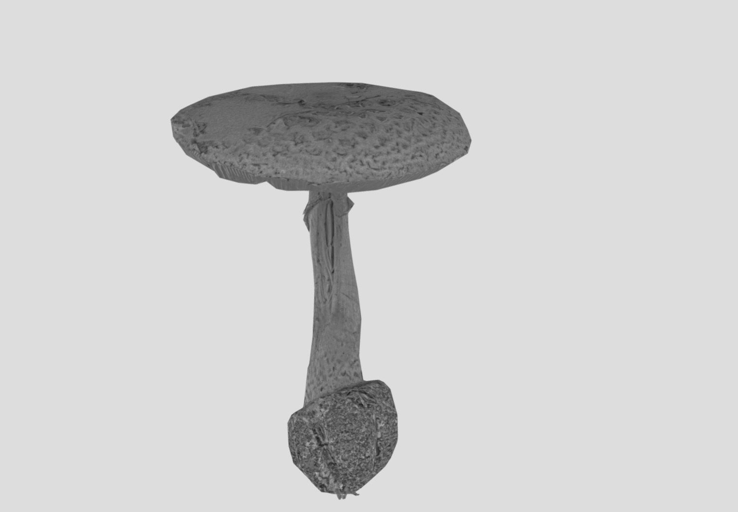 Amanita verna - fools mushroom Low-poly 3D model_28