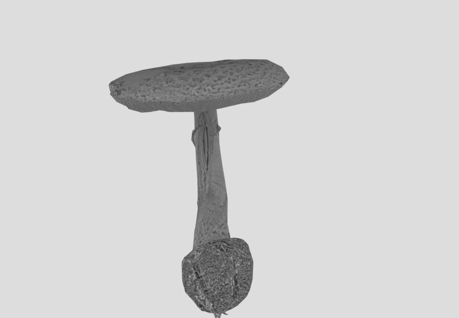 Amanita verna - fools mushroom Low-poly 3D model_39