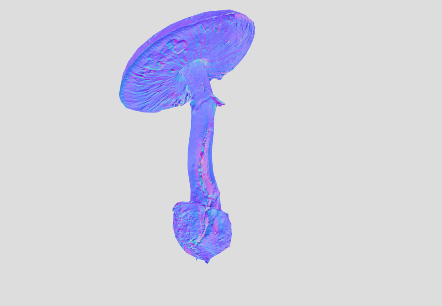 Amanita verna - fools mushroom Low-poly 3D model_29