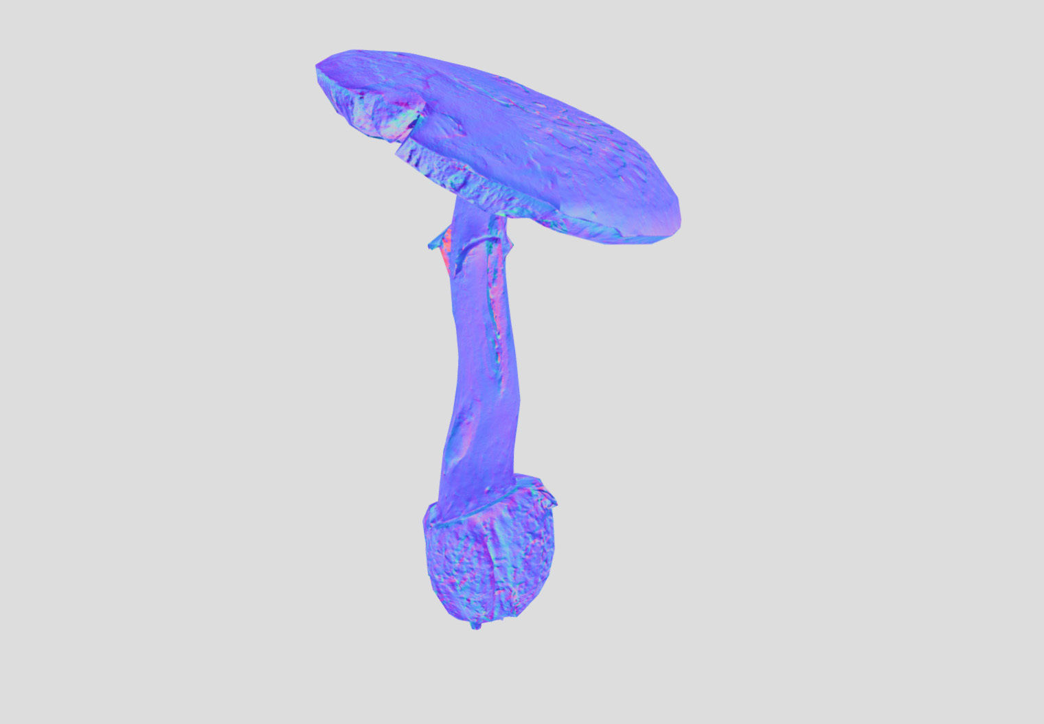 Amanita verna - fools mushroom Low-poly 3D model_44