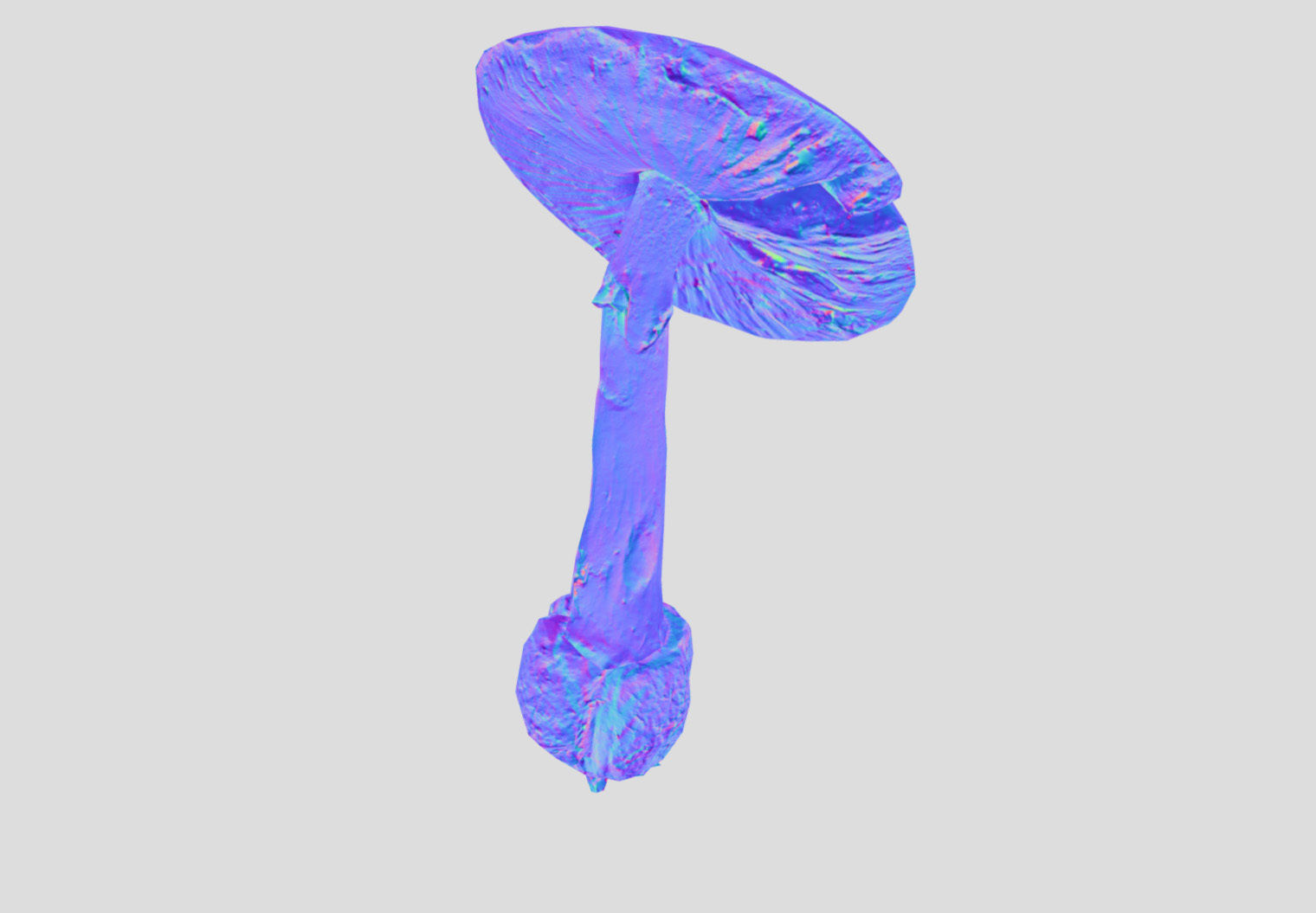 Amanita verna - fools mushroom Low-poly 3D model_50