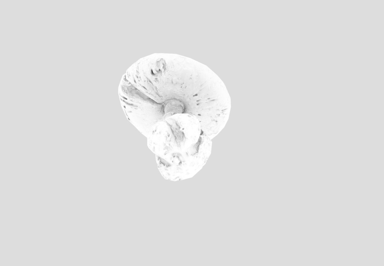 Amanita verna - fools mushroom Low-poly 3D model_24