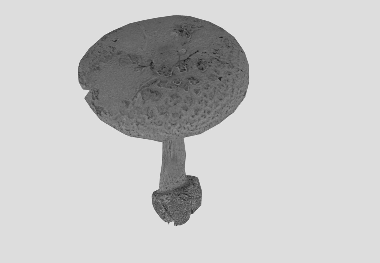 Amanita verna - fools mushroom Low-poly 3D model_41