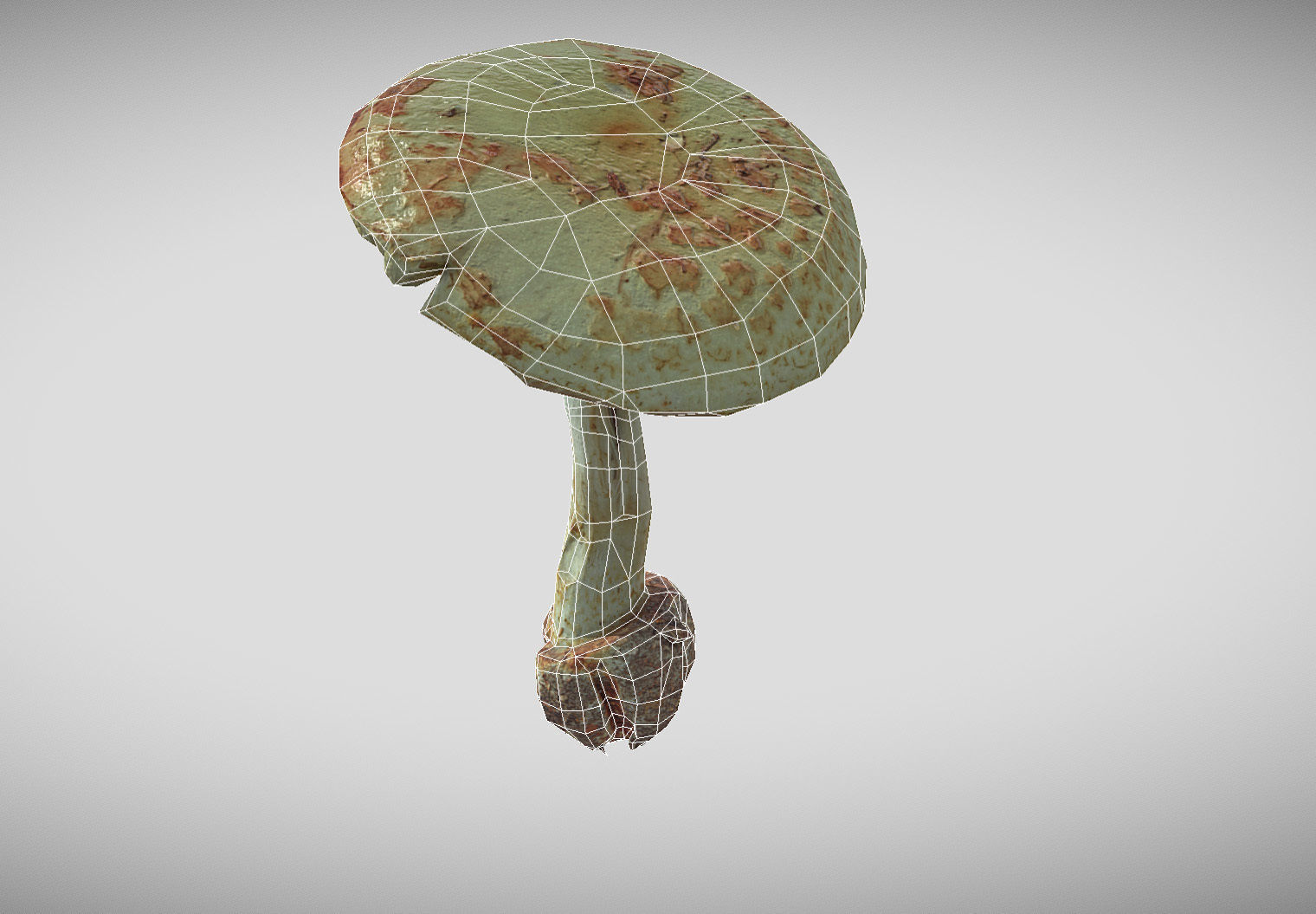Amanita verna - fools mushroom Low-poly 3D model_55