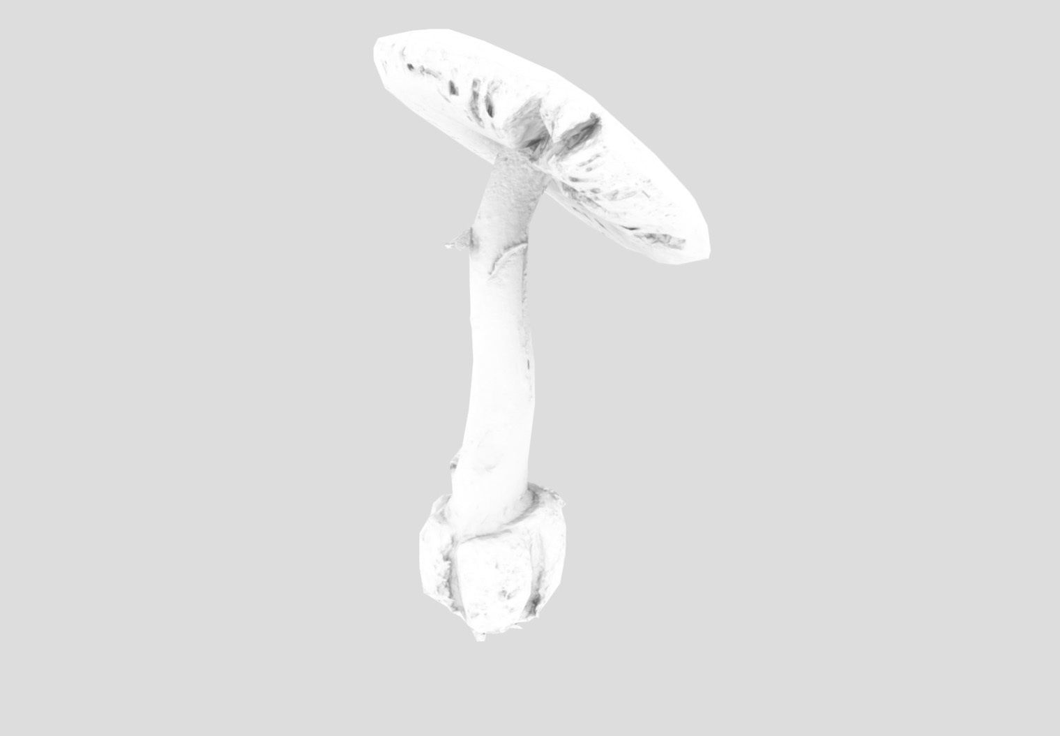 Amanita verna - fools mushroom Low-poly 3D model_25