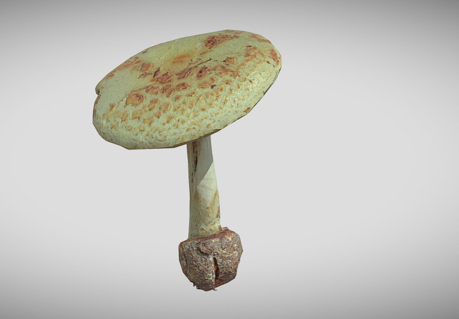 Amanita verna - fools mushroom Low-poly 3D model_17