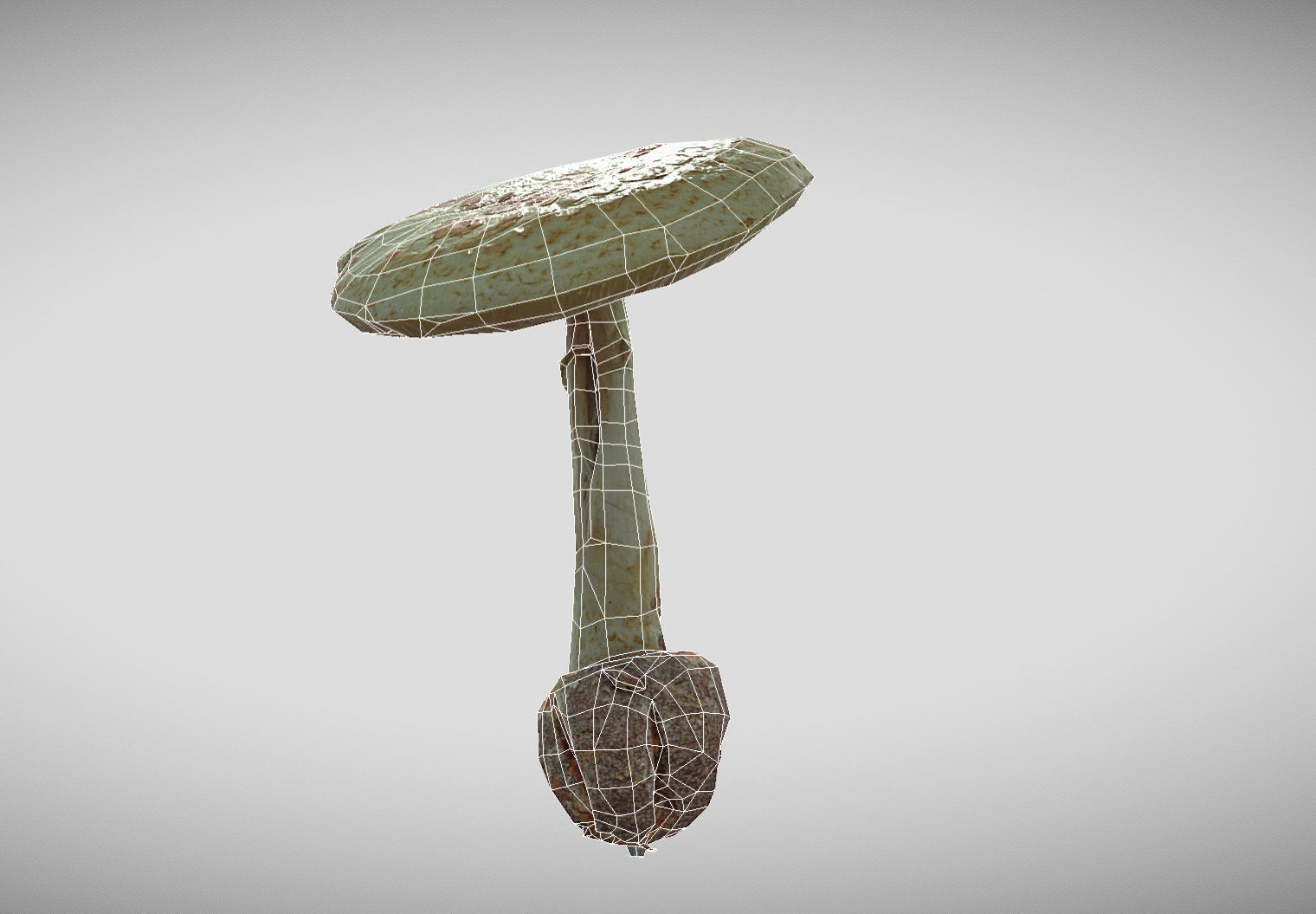 Amanita verna - fools mushroom Low-poly 3D model_59