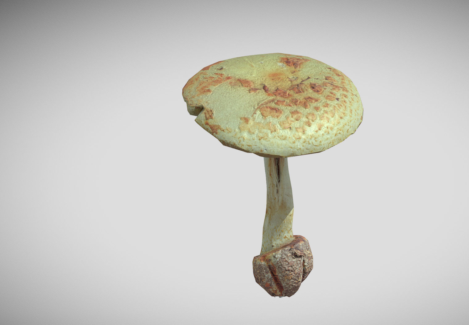 Amanita verna - fools mushroom Low-poly 3D model_56