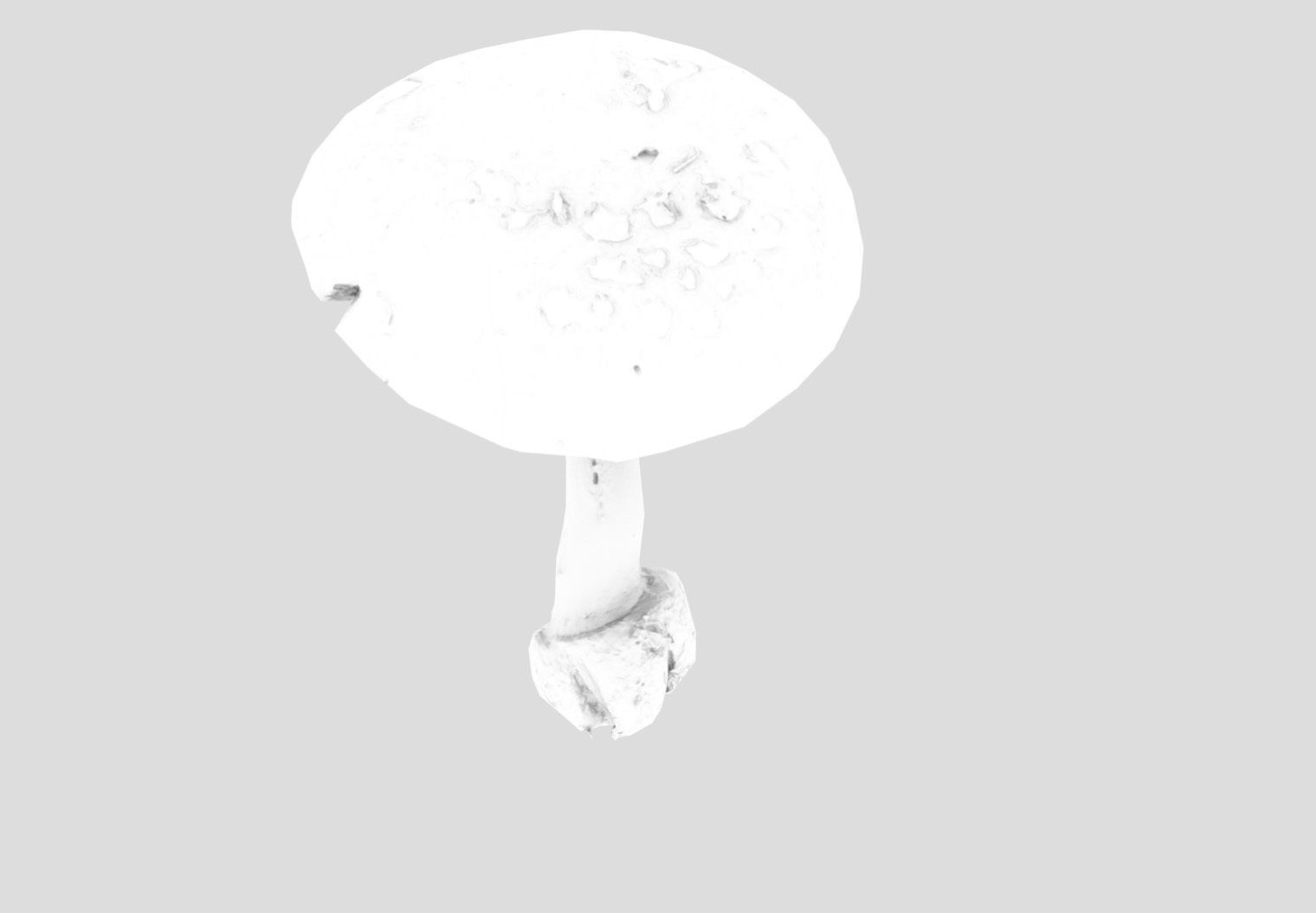 Amanita verna - fools mushroom Low-poly 3D model_20