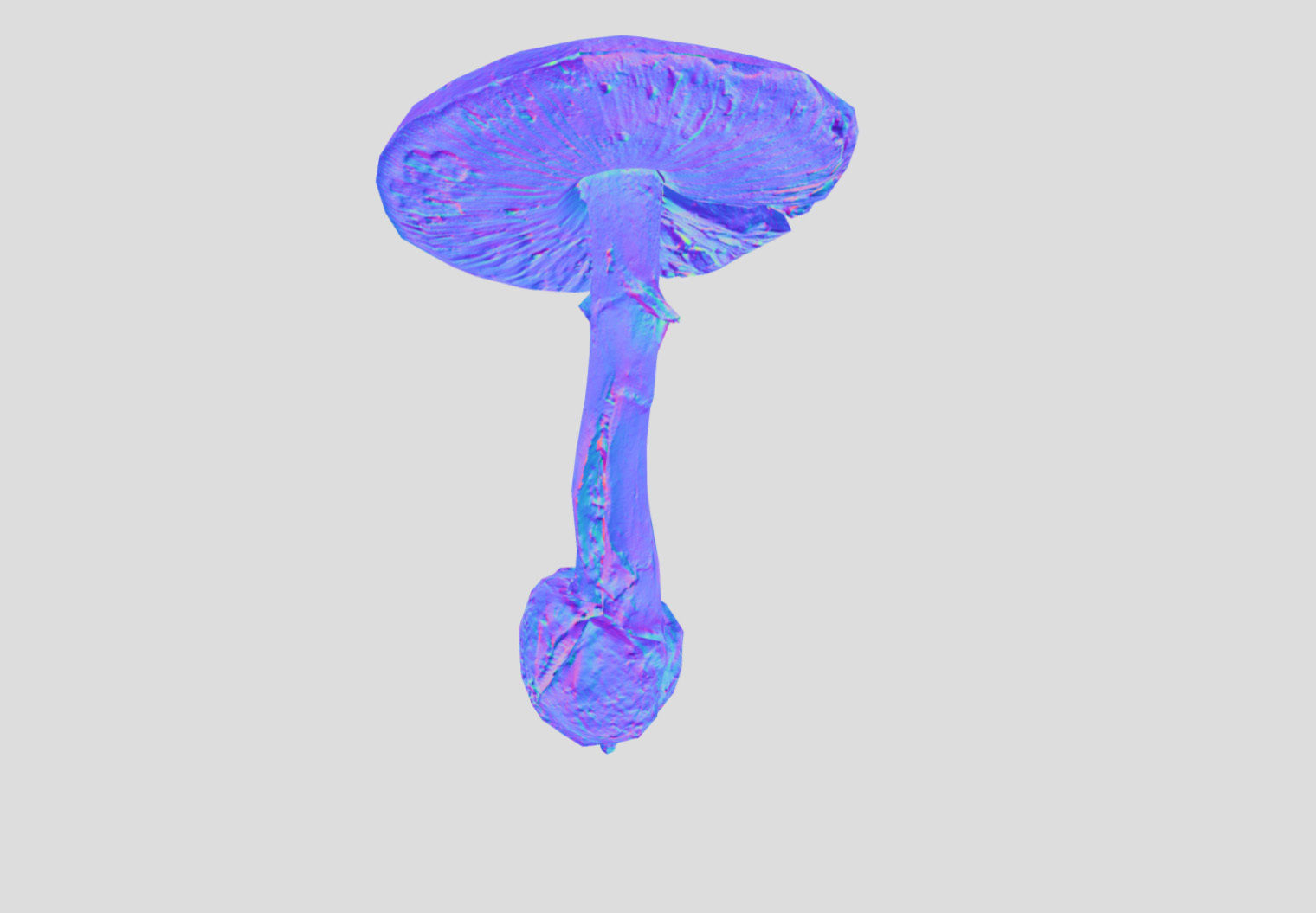 Amanita verna - fools mushroom Low-poly 3D model_54