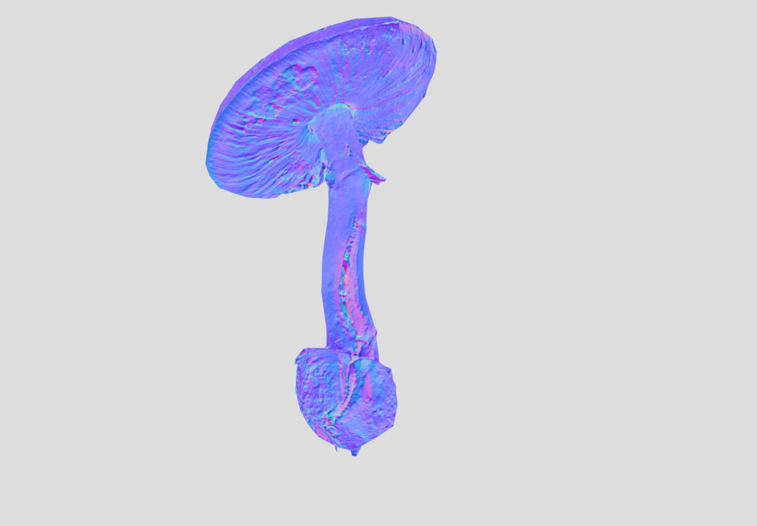 Amanita verna - fools mushroom Low-poly 3D model_42