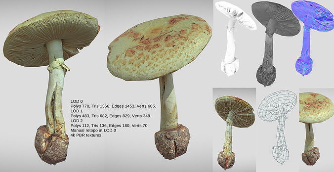 Amanita verna - fools mushroom Low-poly 3D model