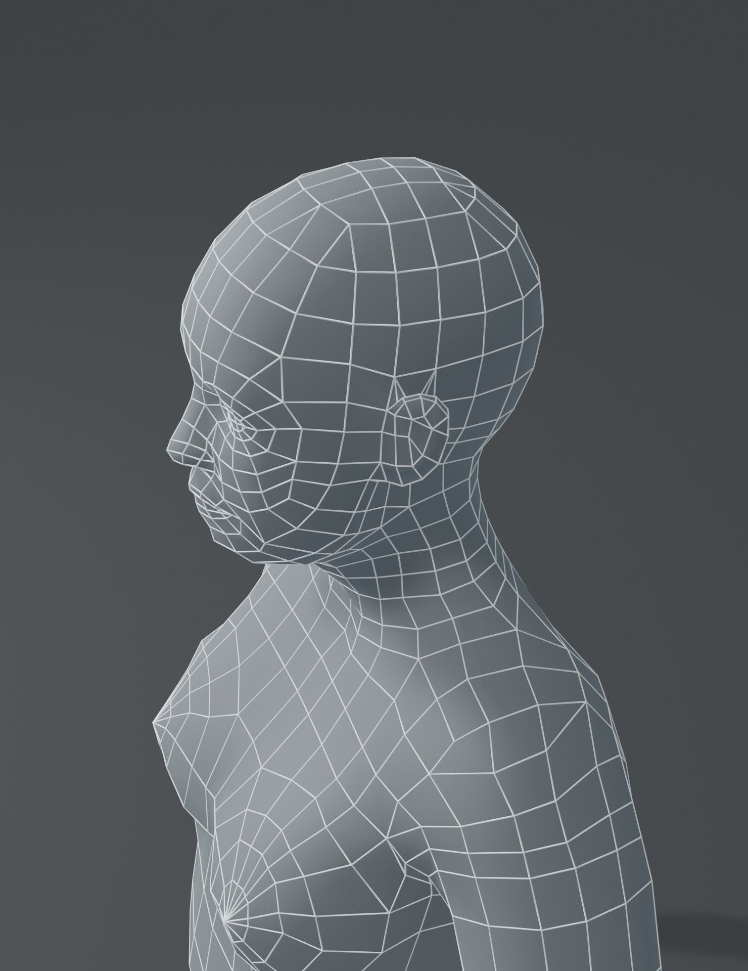 Female Body Fat Base Mesh 3D Model Low-poly 3D model_17