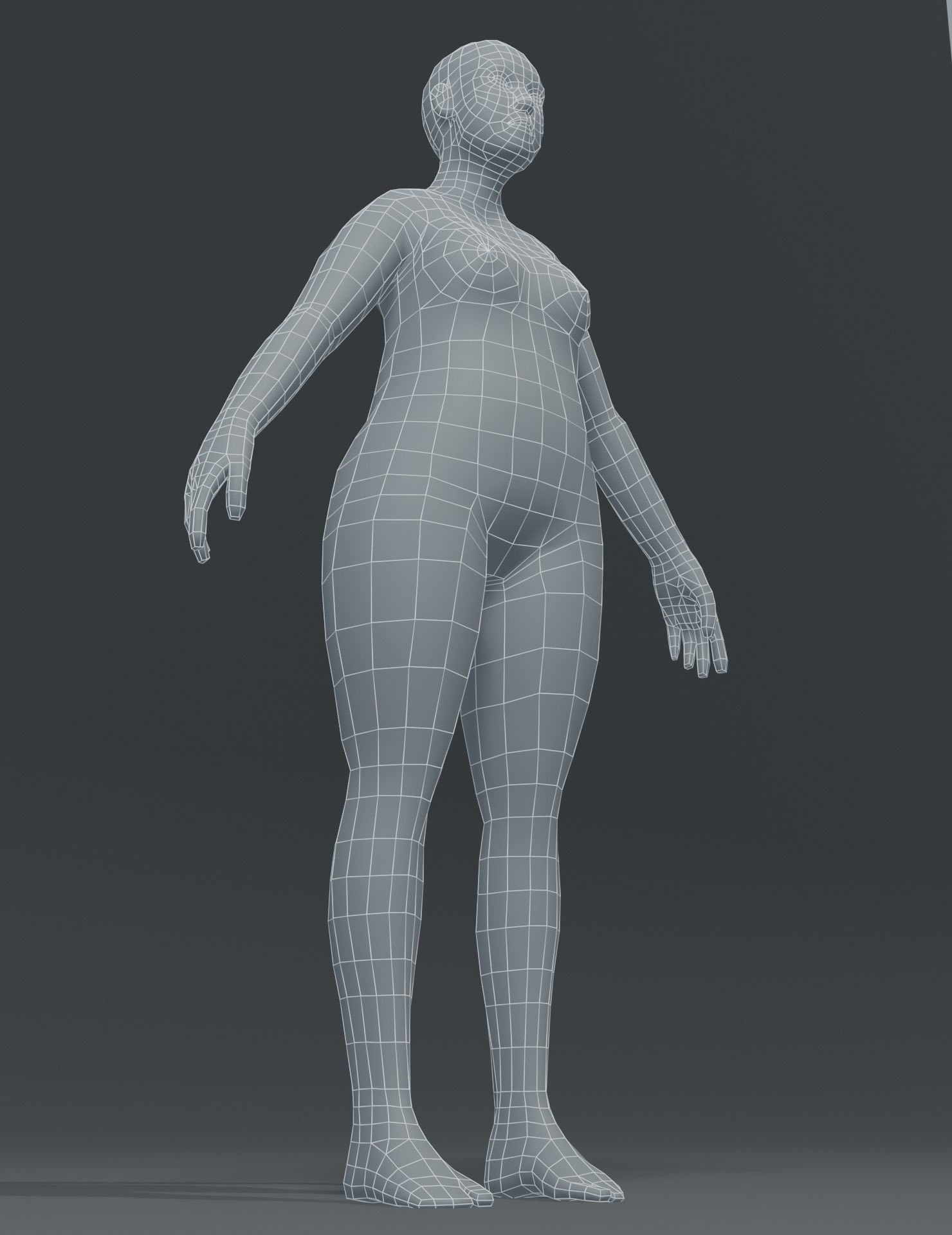 Female Body Fat Base Mesh 3D Model Low-poly 3D model_11