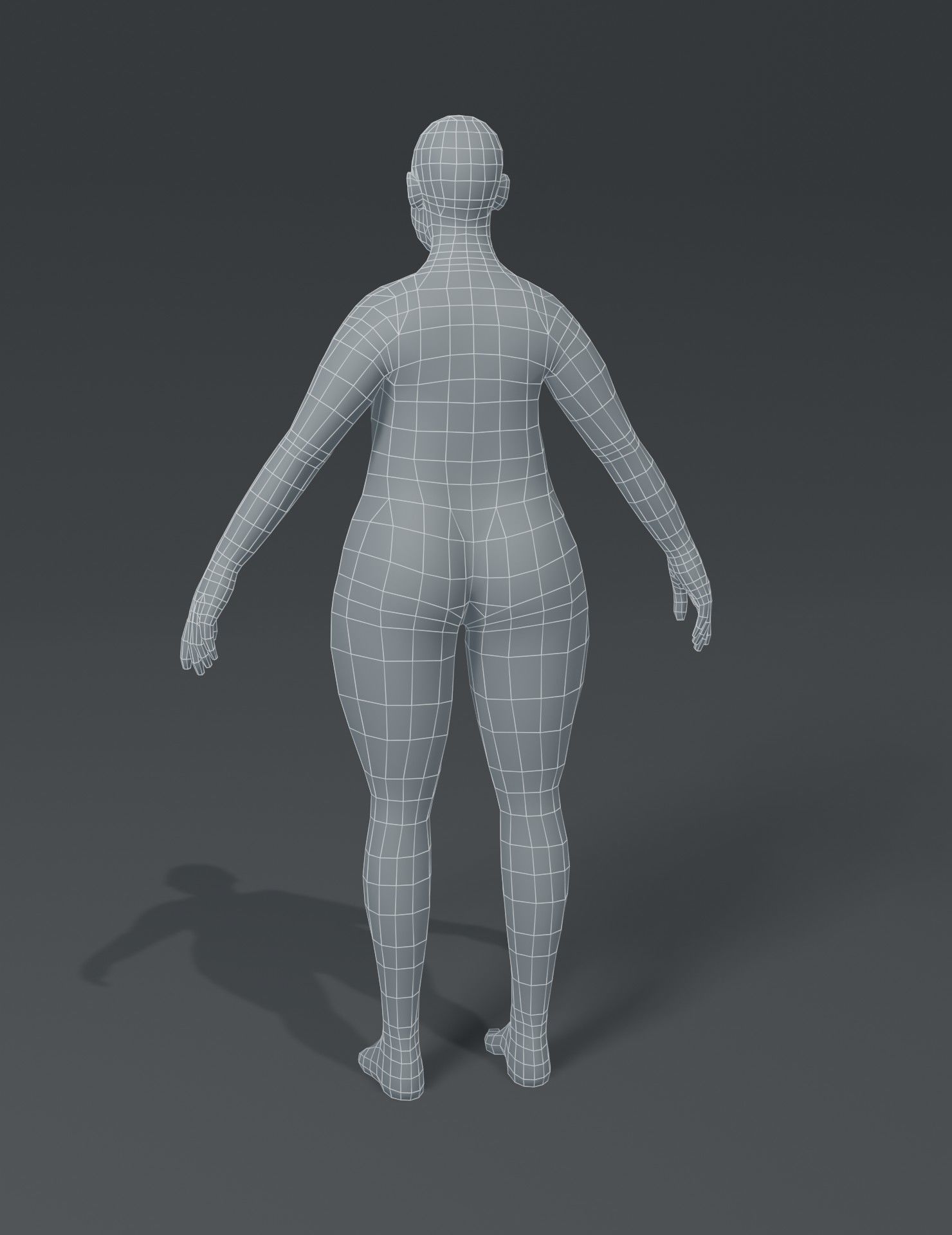 Female Body Fat Base Mesh 3D Model Low-poly 3D model_6