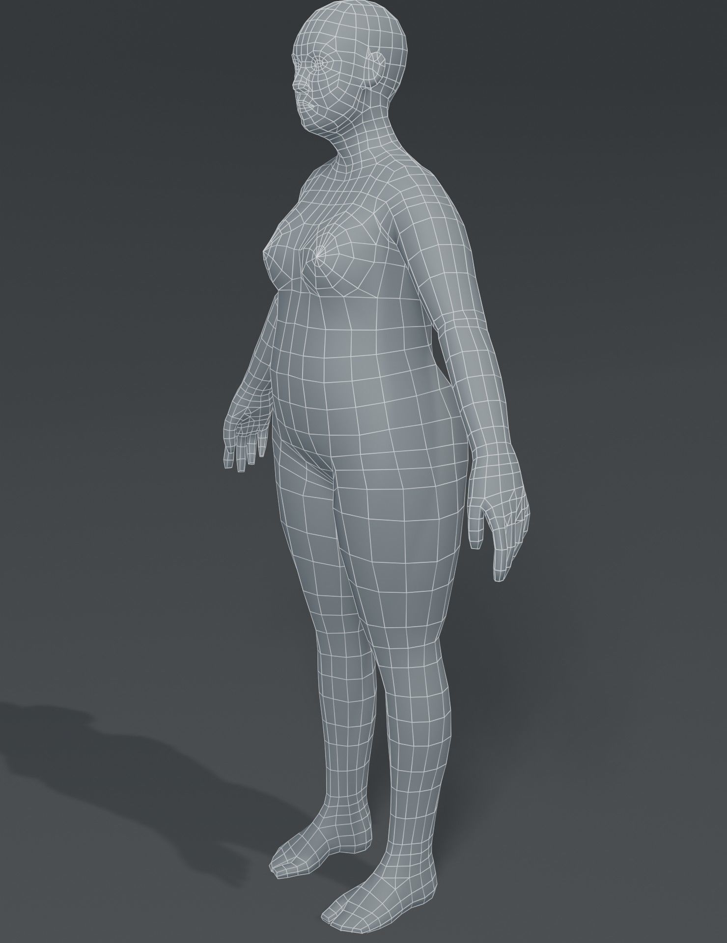 Female Body Fat Base Mesh 3D Model Low-poly 3D model_7
