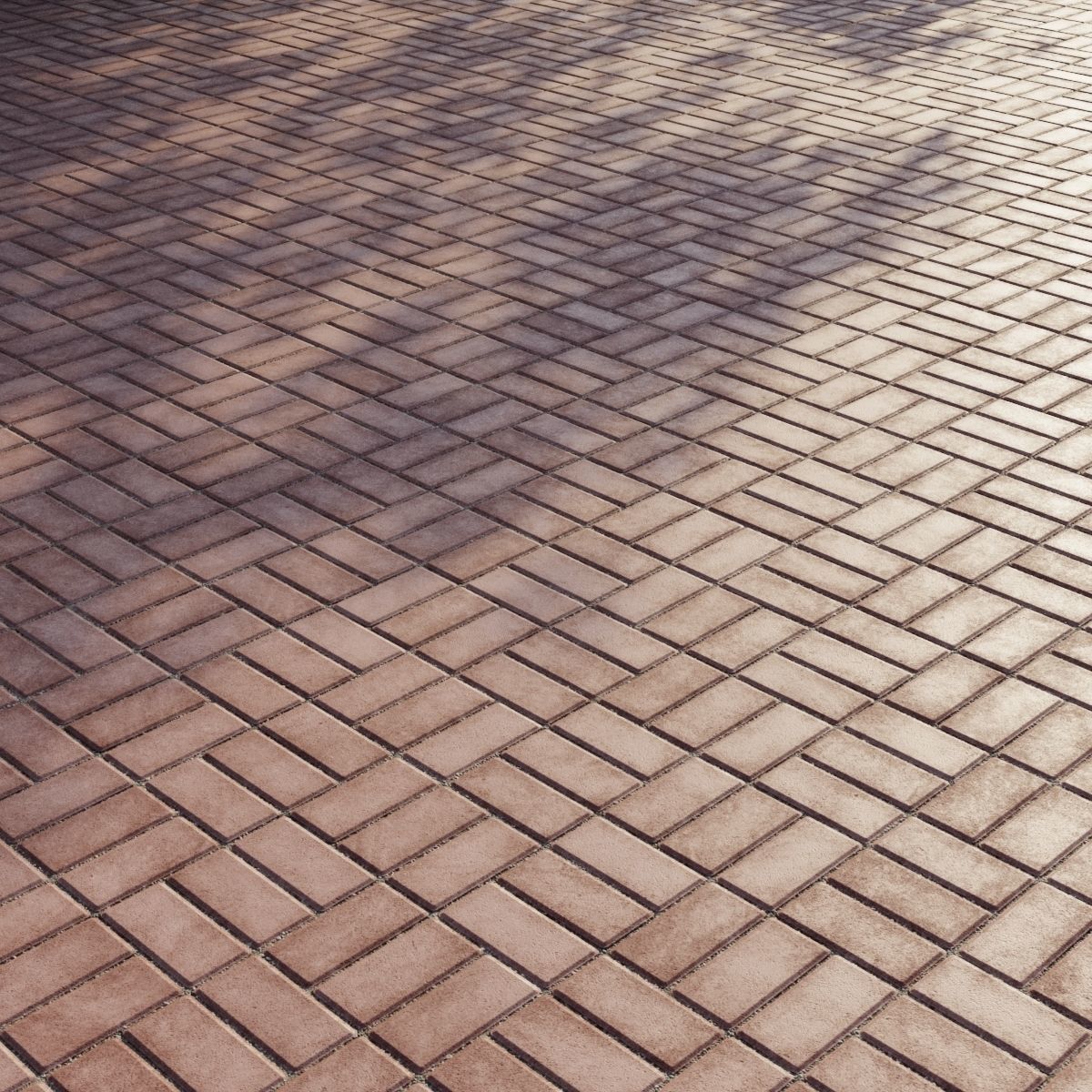 Concrete paving slabs Type 14 Texture_5