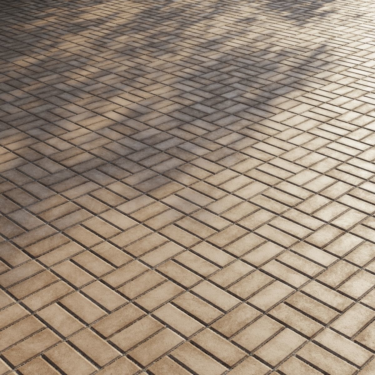 Concrete paving slabs Type 14 Texture_4