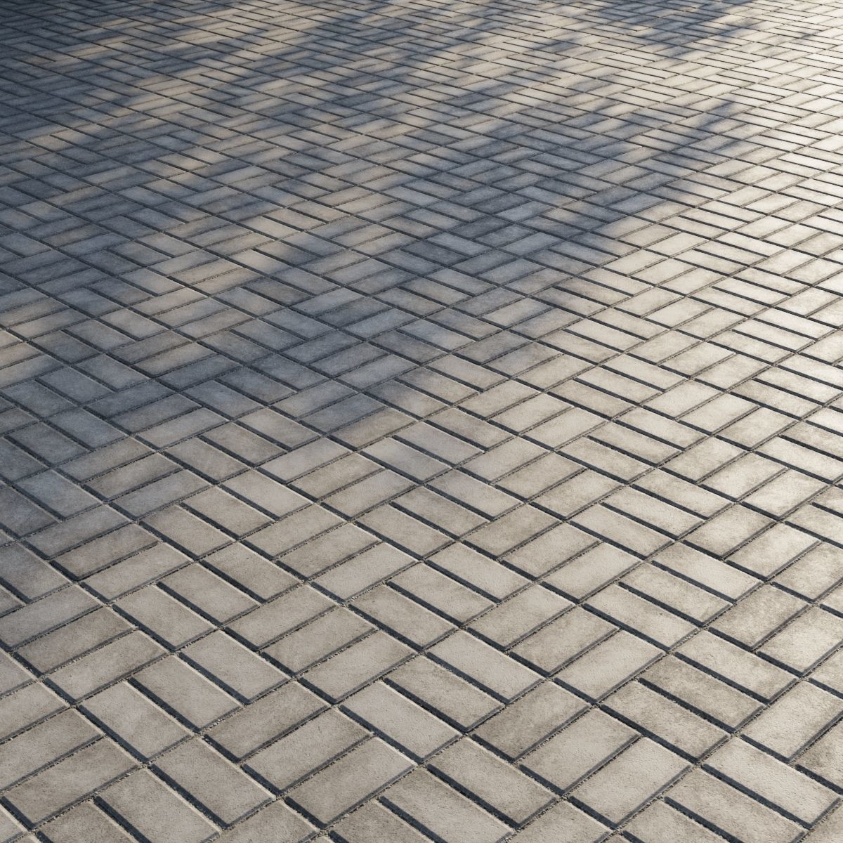 Concrete paving slabs Type 14 Texture_3