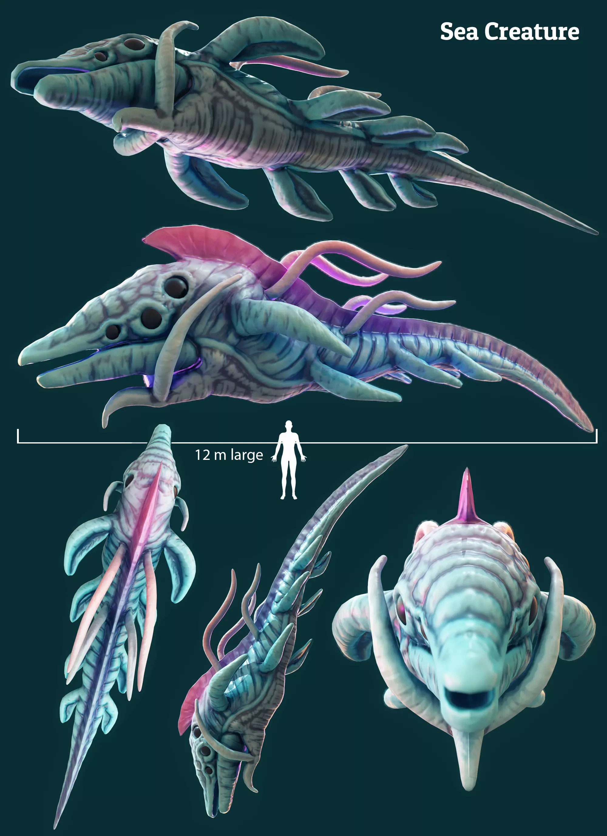 Sea Creature 3D model