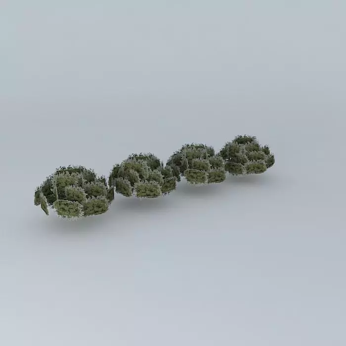 Trees Cathedral Free 3D model_0