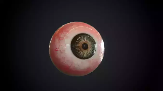 Realistic Eye human Low-poly 3D model