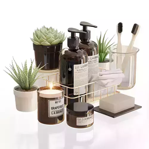 LA Bruket decor set for bathroom with flowerpots 3D model