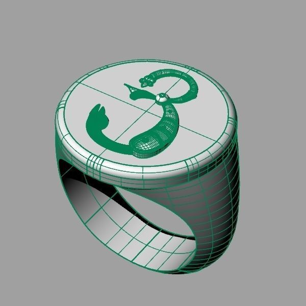 Ring trchnagir Ya 3D print model_6